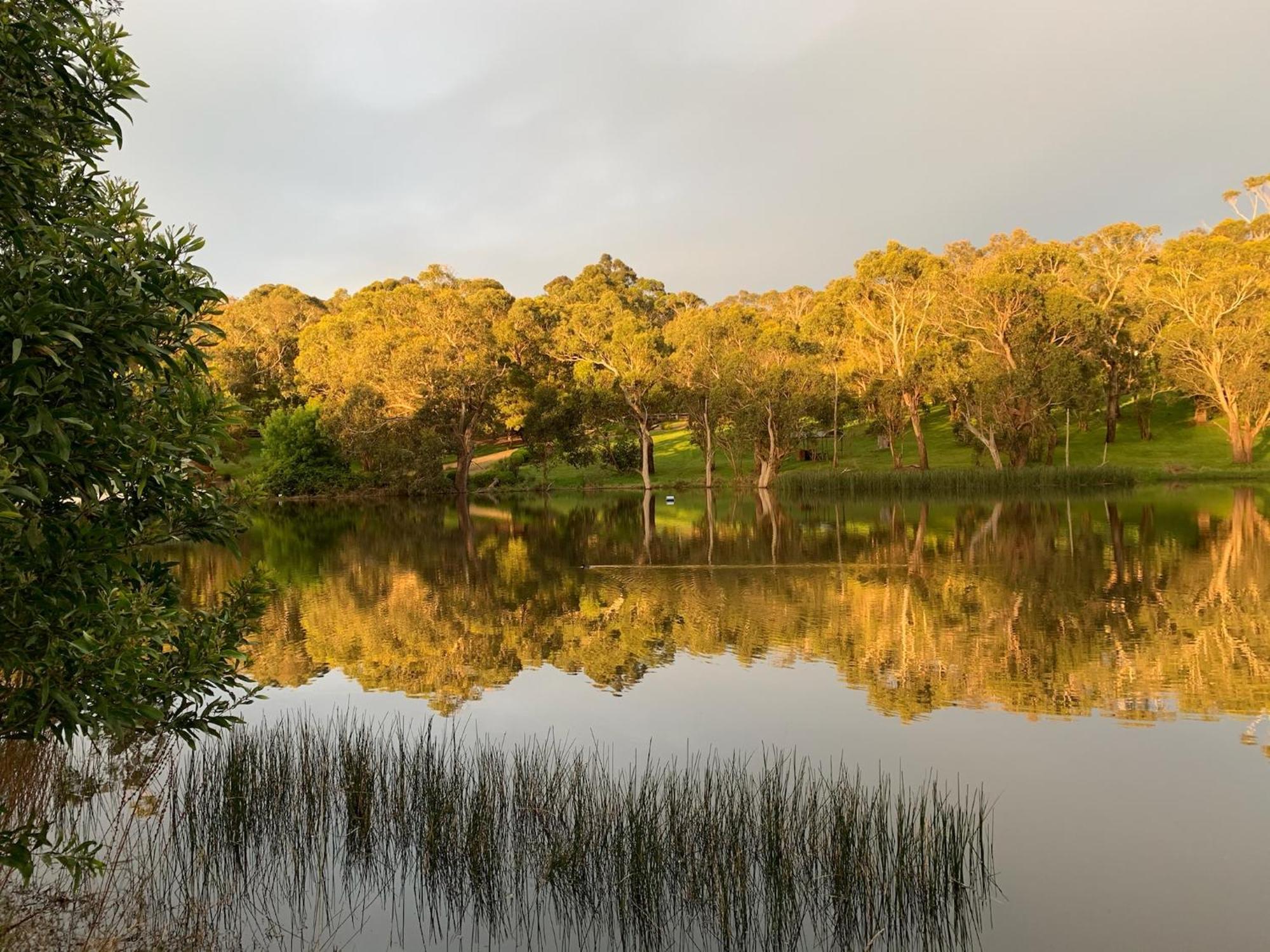 Iluka Retreat Glamping Village Red Hill South Exterior photo